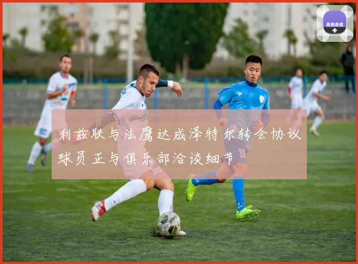 利兹联与法鹰达成泽特尔转会协议球员正与俱乐部洽谈细节