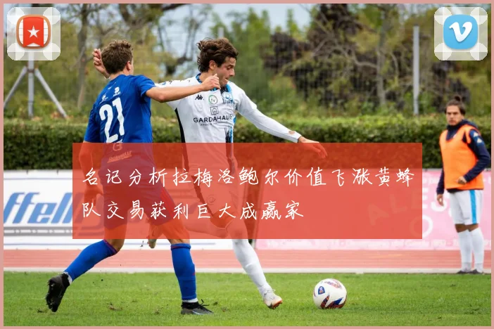 名记分析拉梅洛鲍尔价值飞涨黄蜂队交易获利巨大成赢家