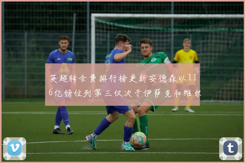 英超转会费排行榜更新安德森以116亿镑位列第三仅次于伊萨克和维尔茨